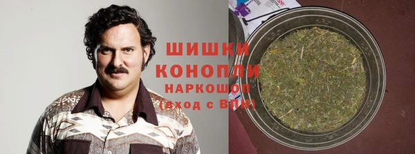 шишки Нея