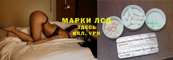 прущие грибы Нефтекумск