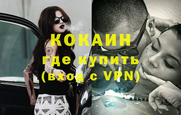 шишки Нея
