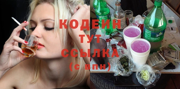шишки Нея