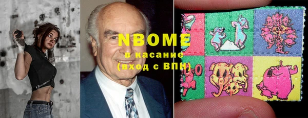 шишки Нея