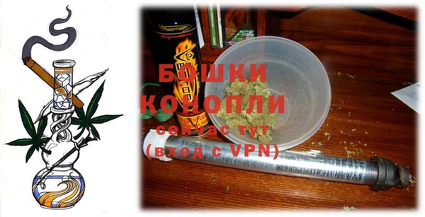 шишки Нея