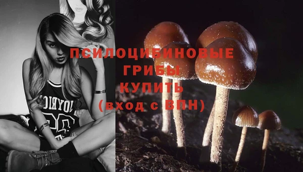 PSILOCYBIN Нефтегорск