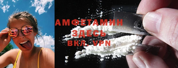 шишки Нея