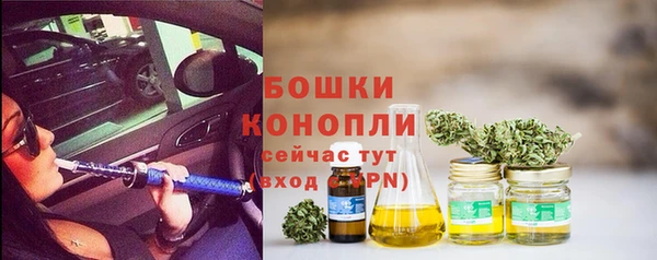 прущие грибы Нефтекумск