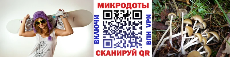 где купить наркотик  Сасово  Галлюциногенные грибы мухоморы 